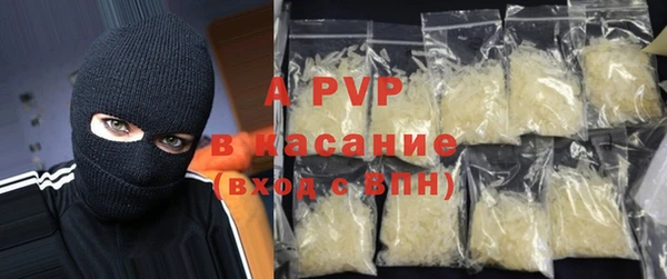 ПСИЛОЦИБИНОВЫЕ ГРИБЫ Абаза