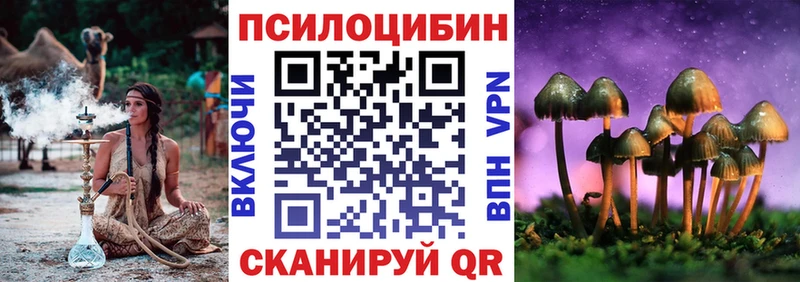 Псилоцибиновые грибы Psilocybine cubensis  Сарапул 