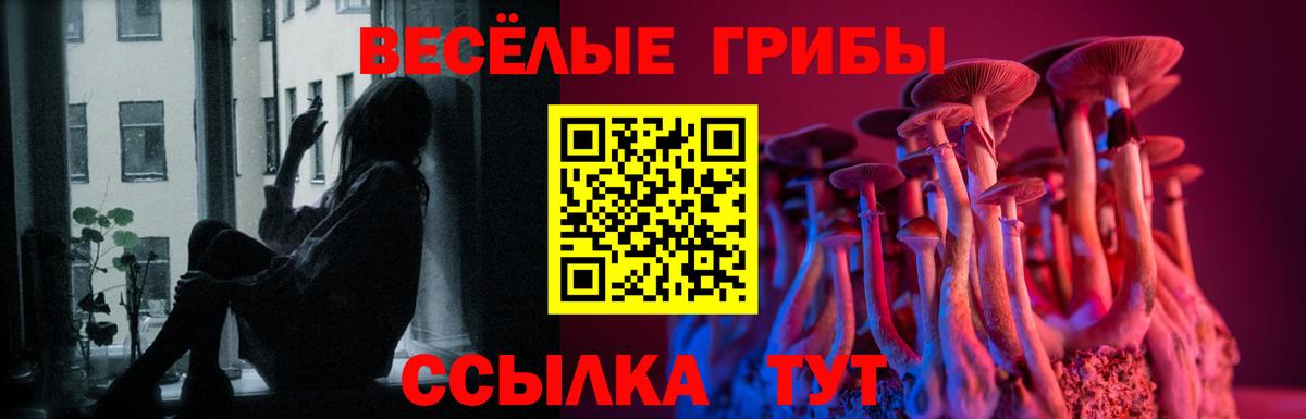 Галлюциногенные грибы Cubensis  Вход с VPN  Сарапул 